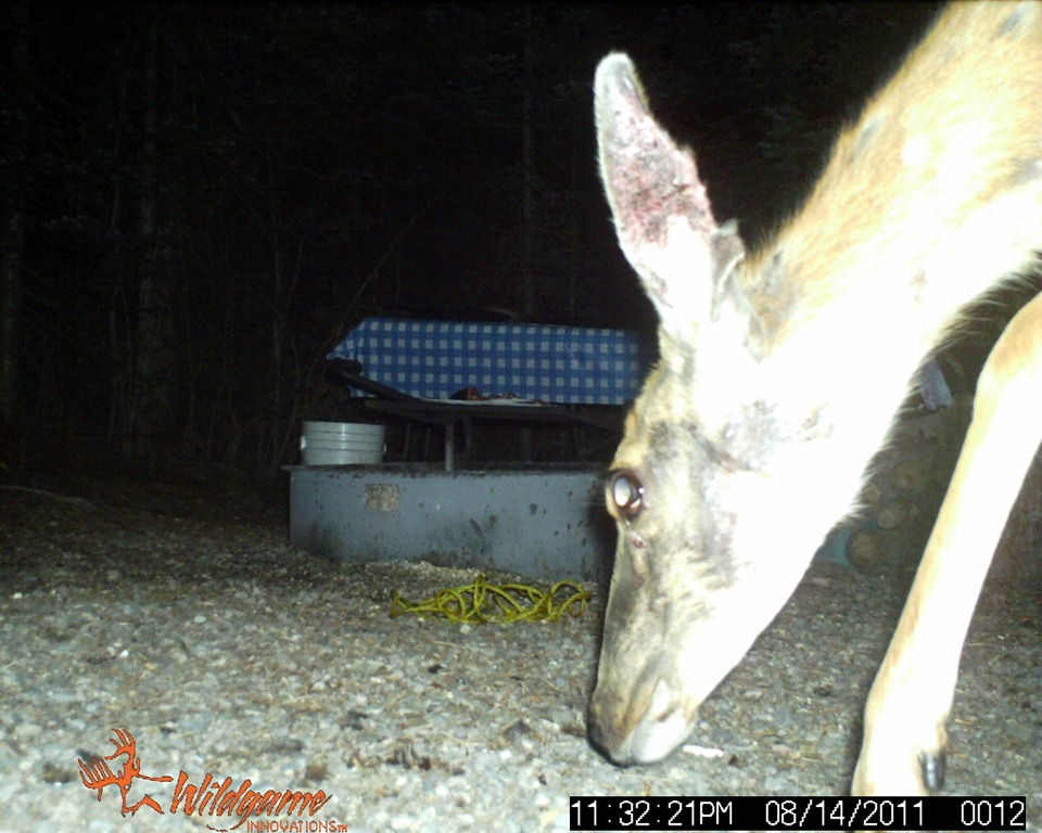 [SUNP0020-1%255B4%255D.jpg]