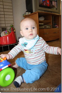 IMG_0176 IMG_0176