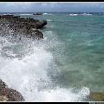 IMG_8721.JPG