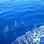 TW_TRIP_0154.JPG
