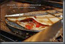 Quesadilla-12-T3i_3116