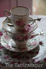 Senior Tea 031