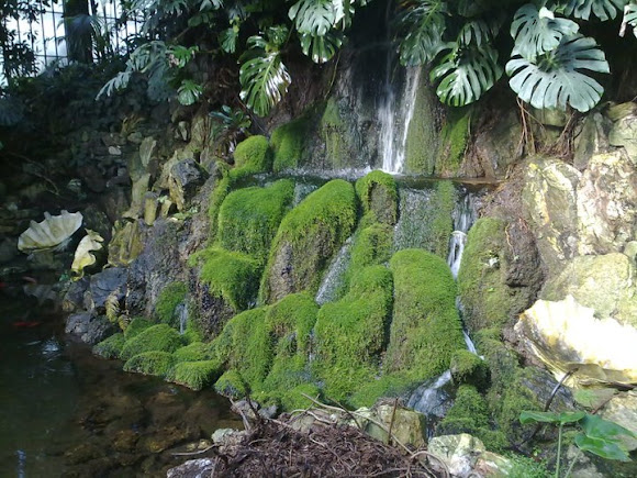 Spotting Image 1