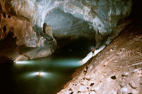 [phong%2520nha%2520cave%255B3%255D.gif]