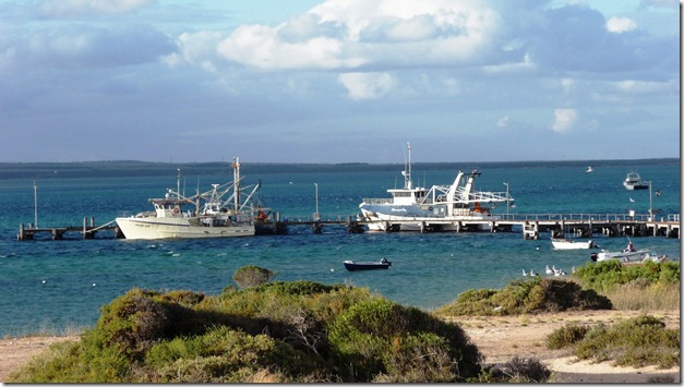 Venus Bay