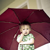 2010_02_21_bree006.jpg
