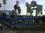 IMG00628-20100129-1522.jpg