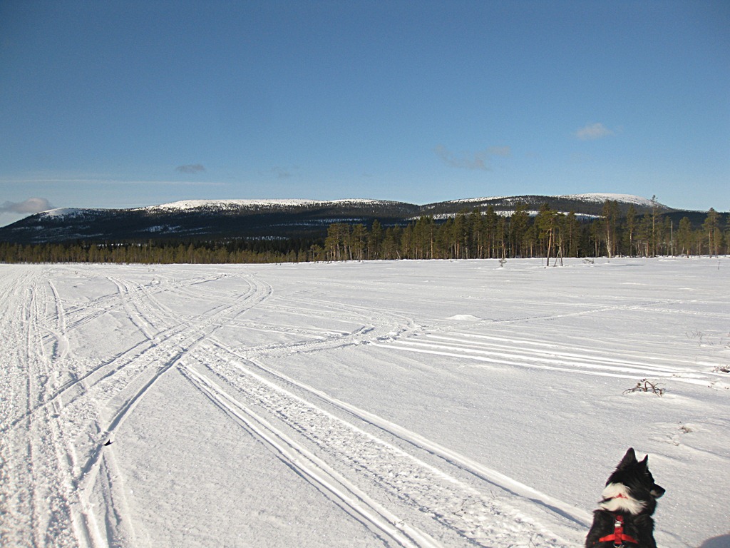 [26feb2012_P%25C3%25A5%2520hytta_8996%255B5%255D.jpg]