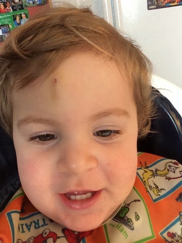 [IMG_1584%255B2%255D.jpg]