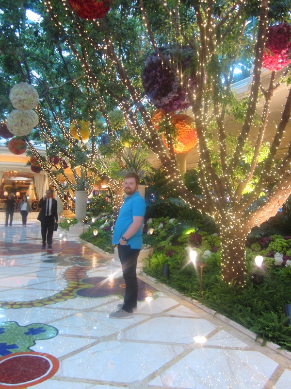 IMG_2260 IMG_2260