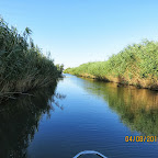 IMG_6216.JPG