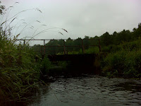 DSC03910.JPG Photo