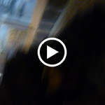 P1090678.MOV