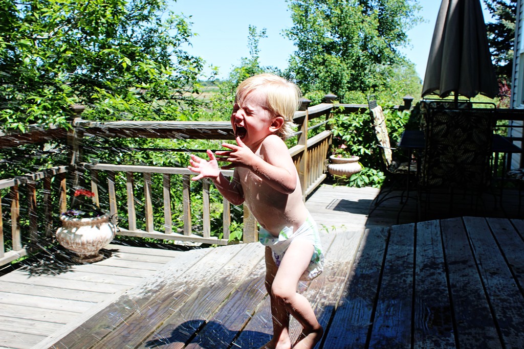 [img_7571-copy5.jpg]