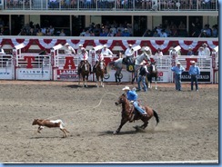 9400 Alberta Calgary - Calgary Stampede 100th Anniversary - Stampede Grandstand - Calgary Stampede Rodeo Tie-Down Roping Championship 9400 Alberta Calgary - Calgary Stampede 100th Anniversary - Stampede Grandstand - Calgary Stampede Rodeo Tie-Down Roping Championship