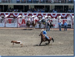 9400 Alberta Calgary - Calgary Stampede 100th Anniversary - Stampede Grandstand - Calgary Stampede Rodeo Tie-Down Roping Championship