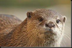_DSC5365 _DSC5365