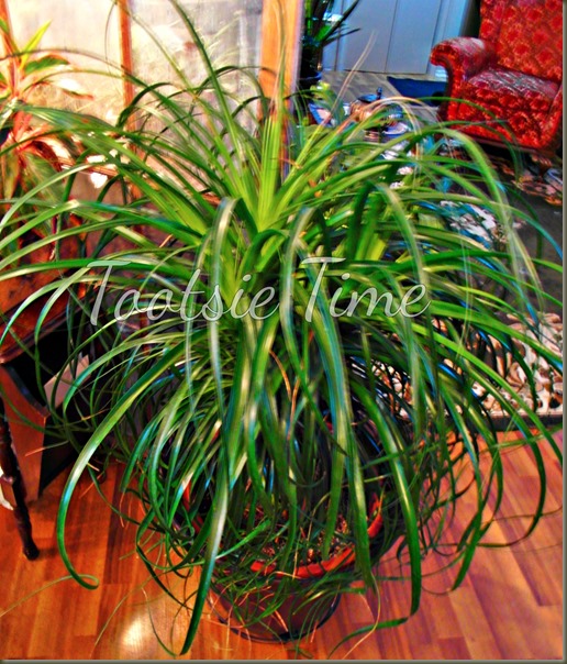 BeFunky_007.jpg BeFunky_007.jpg