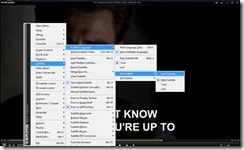 two simultaneous subtitles with KMPlayer 2