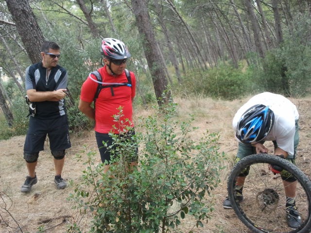 [2012-07-07%252009.57.42%255B52%255D.jpg]