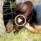 Simon macht ein Foto von Pinguin-Küken