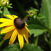 20100724-00015-6.JPG