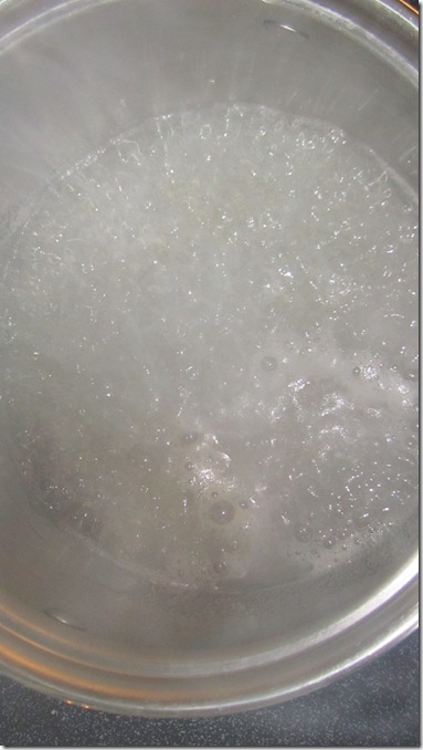 IMG_3564 IMG_3564