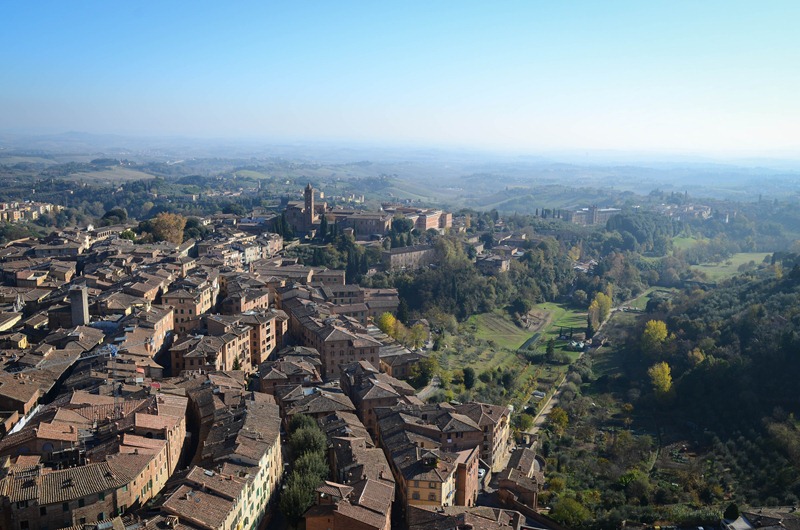 [climbing%2520top%2520view7%255B3%255D.jpg]