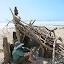 Afternoon at San Gregario Beach  4-28-12