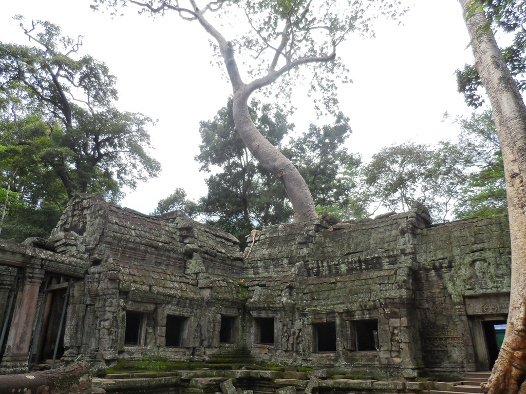 [SAM_14173.jpg]