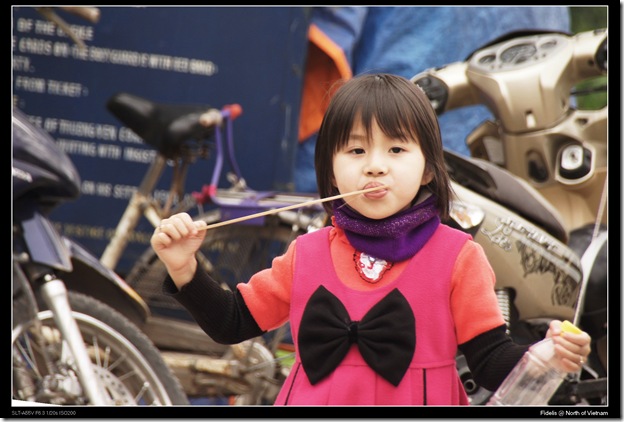 hanoi212 hanoi212