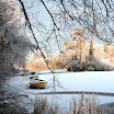 Declan Courell - Garavogue River December.jpg
