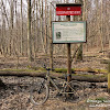 Rezerwat "Śnieżycowy Jar" dsc07029.jpg