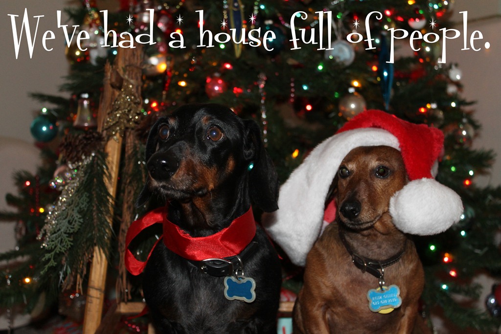 [rudi%2520and%2520franz%2520012%255B3%255D.jpg]