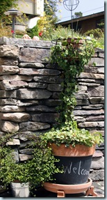 Topiary6