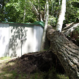 Cabin Damage