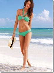 Elyse-Taylor-Victorias-Secret-Lingerie-Bikini-Photoshoot-2012-08