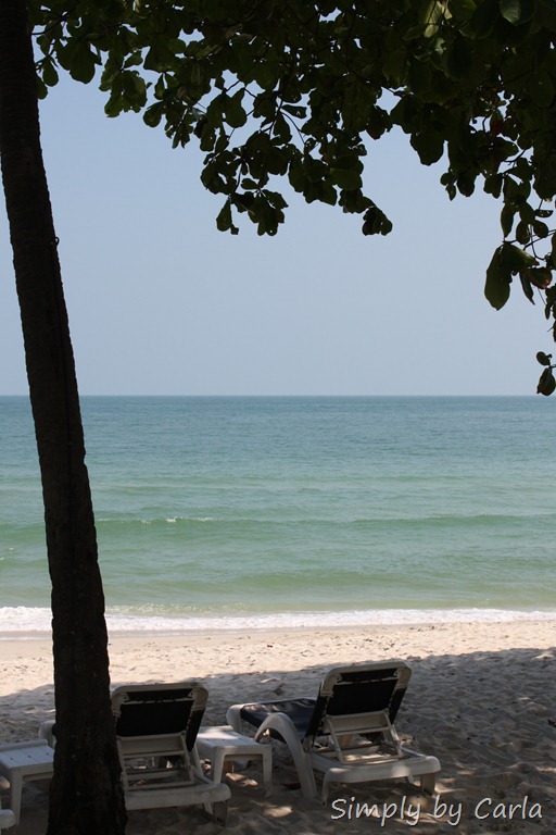 [IMG_2396%255B9%255D.jpg]