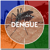dengue fever manipur