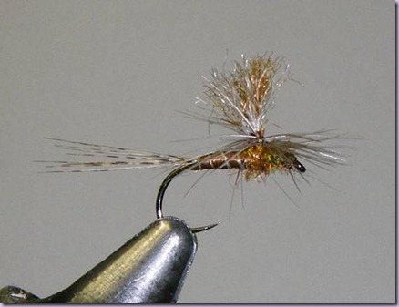 clip_image048 clip_image048