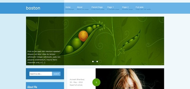 premium-blogger-templates (17) premium-blogger-templates (17)