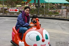 IMG_3612 IMG_3612