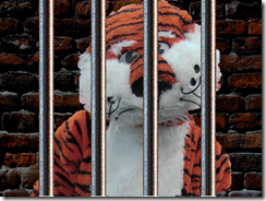 JailAubie