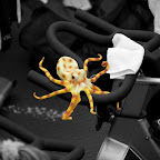20110617_0267.jpg