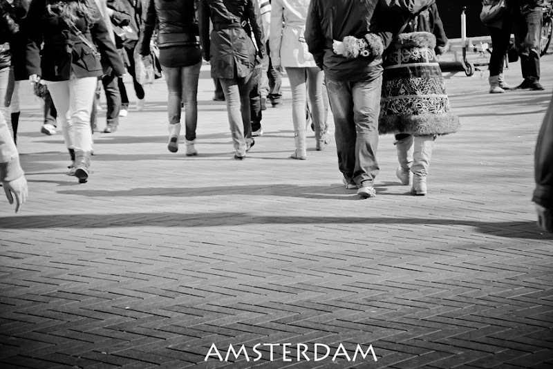 IMG_6964