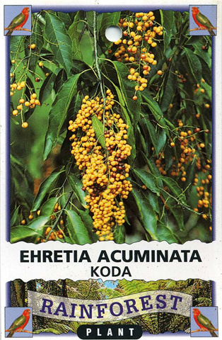 [image%255B88%255D.png]