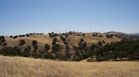 DSC02917.jpg