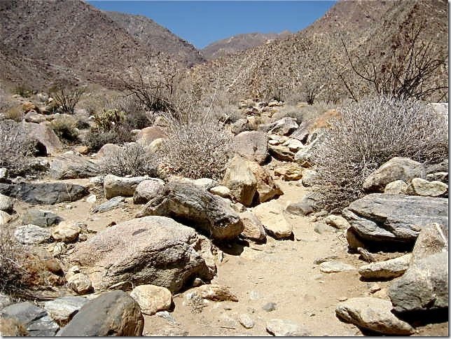 rocky trail rocky trail