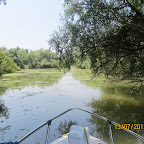 IMG_3146.JPG