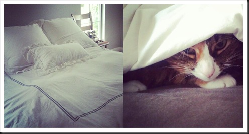 CatSunday